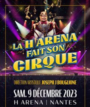 La H Arena fait son cirque HBC Nantes Palais des Sports de Beaulieu Affiche