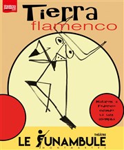 Tierra Flamenco Le Funambule Montmartre Affiche