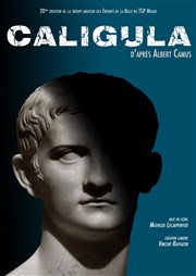 Caligula Thtre Grard Philipe Meaux Affiche