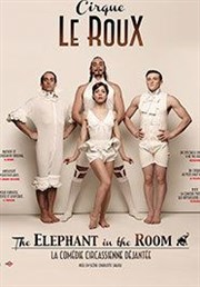 Cirque Le Roux dans The Elephant in the room Thtre Jacques Prvert Affiche