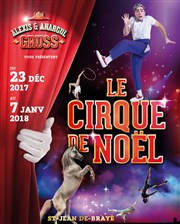 Cirque de Noël 2017 Chapiteau du Cirque Alexis & Anargul Gruss  Saint Jean de Braye Affiche
