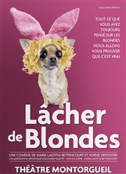 Lâcher de blondes La Comdie Montorgueil - Salle 2 Affiche