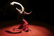 Récital flamenco : Flamencura L' H2O Affiche
