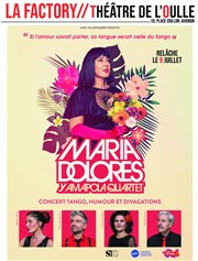 Maria Dolores y Amapola Quartet Thtre de l'Oulle Affiche