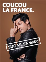 Sugar Sammy Bourse du Travail Lyon Affiche