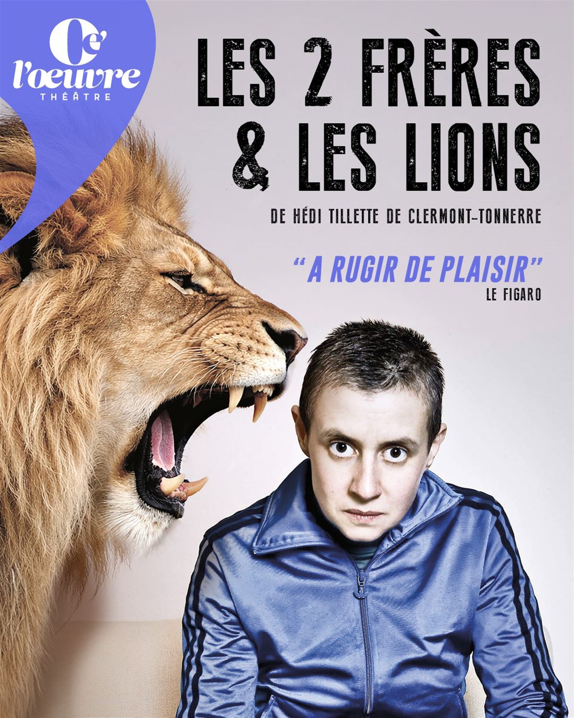 Les deux frères et les lions