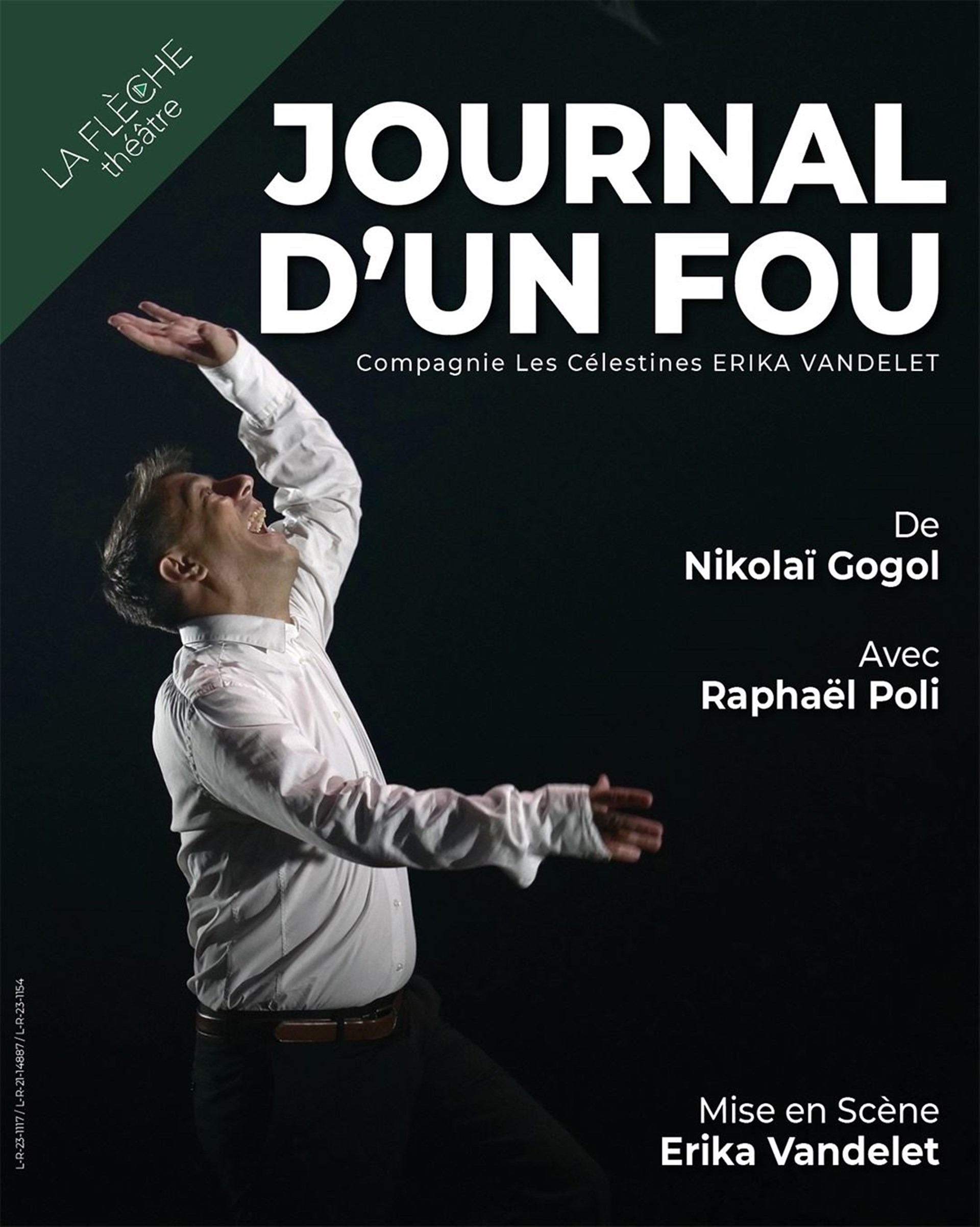 Journal d'un fou