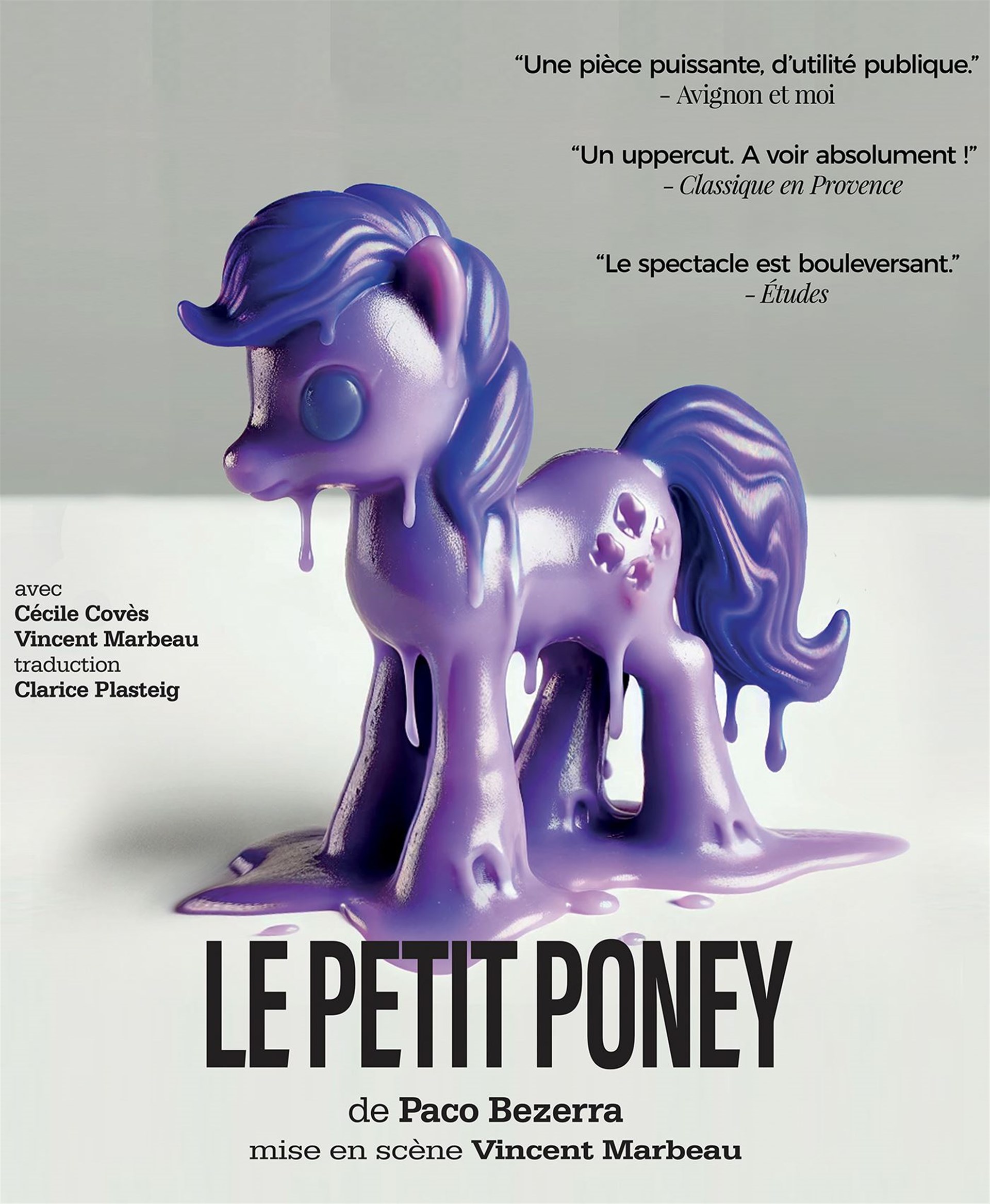 Le petit poney