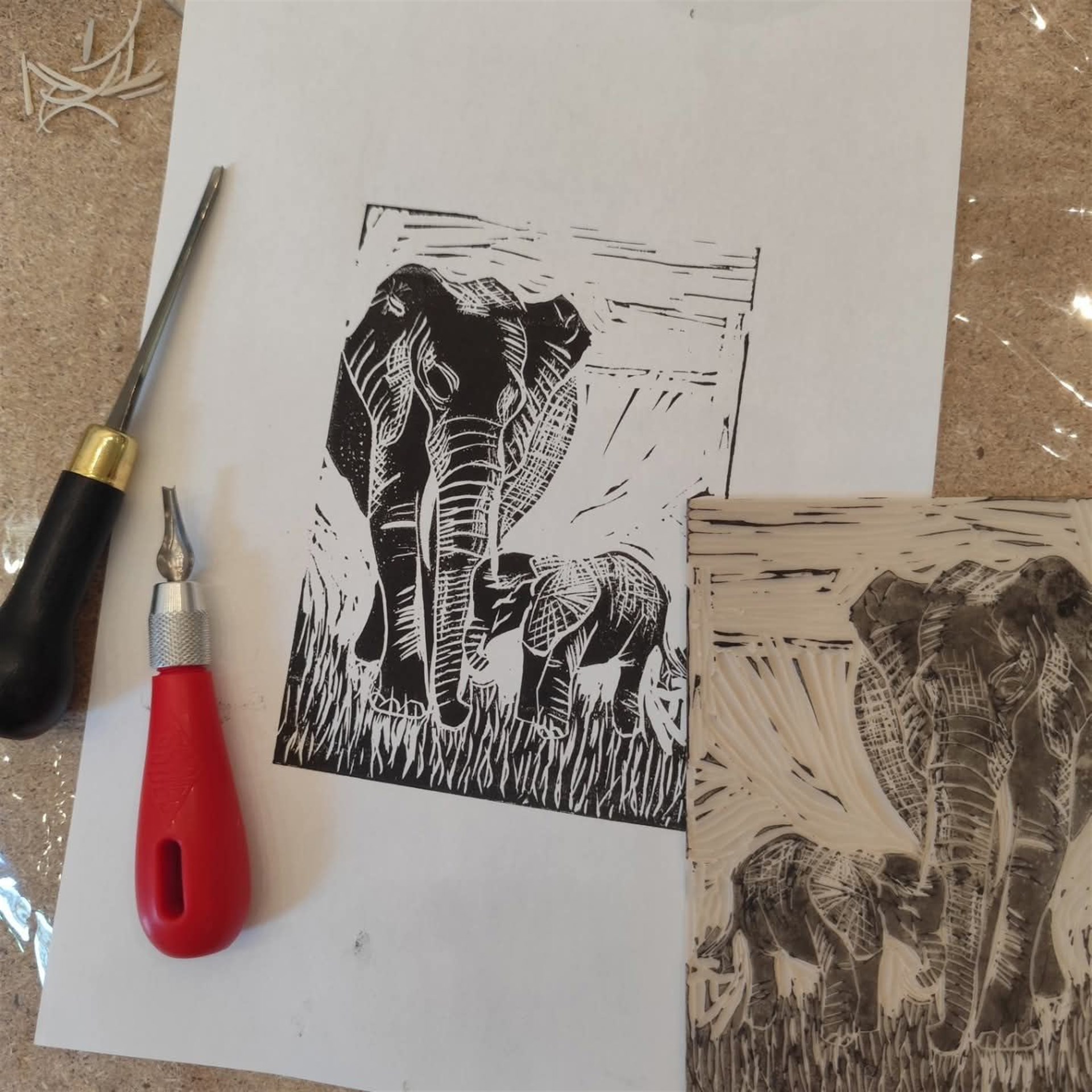 Découverte Linogravure