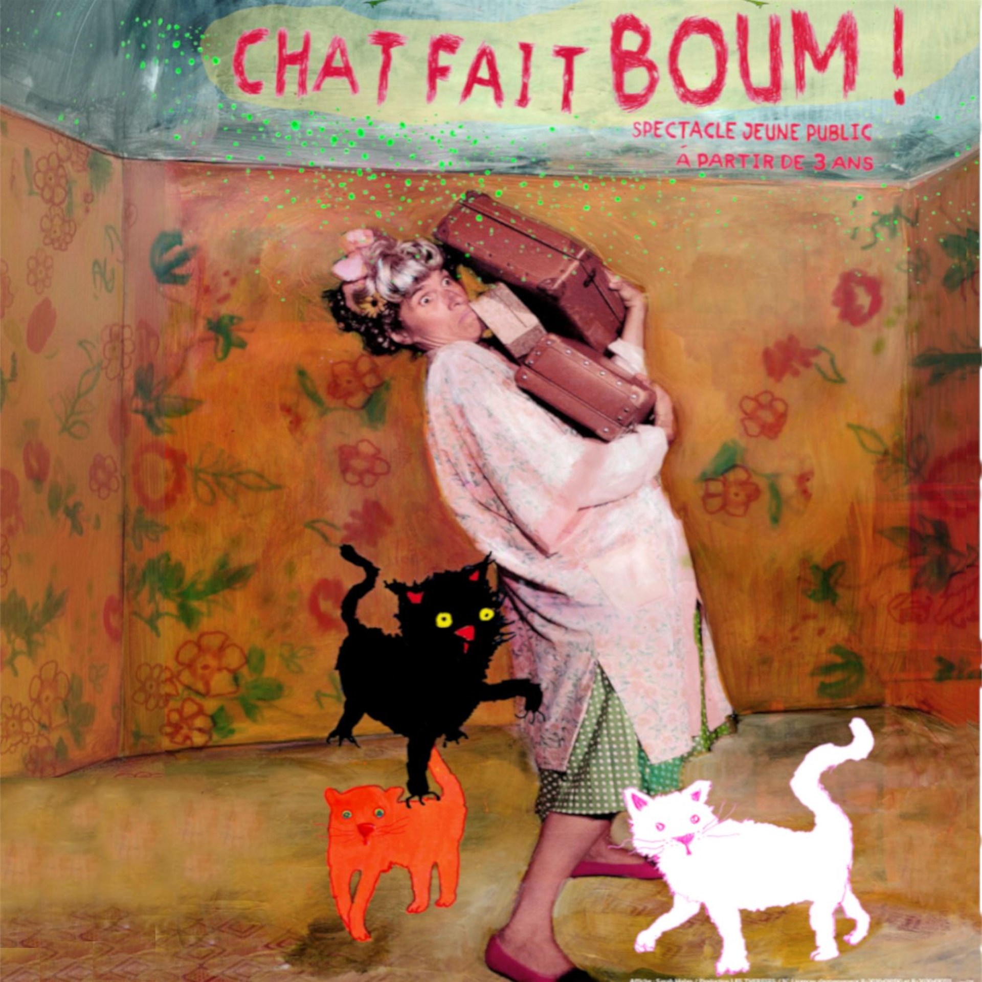 Chat fait Boum