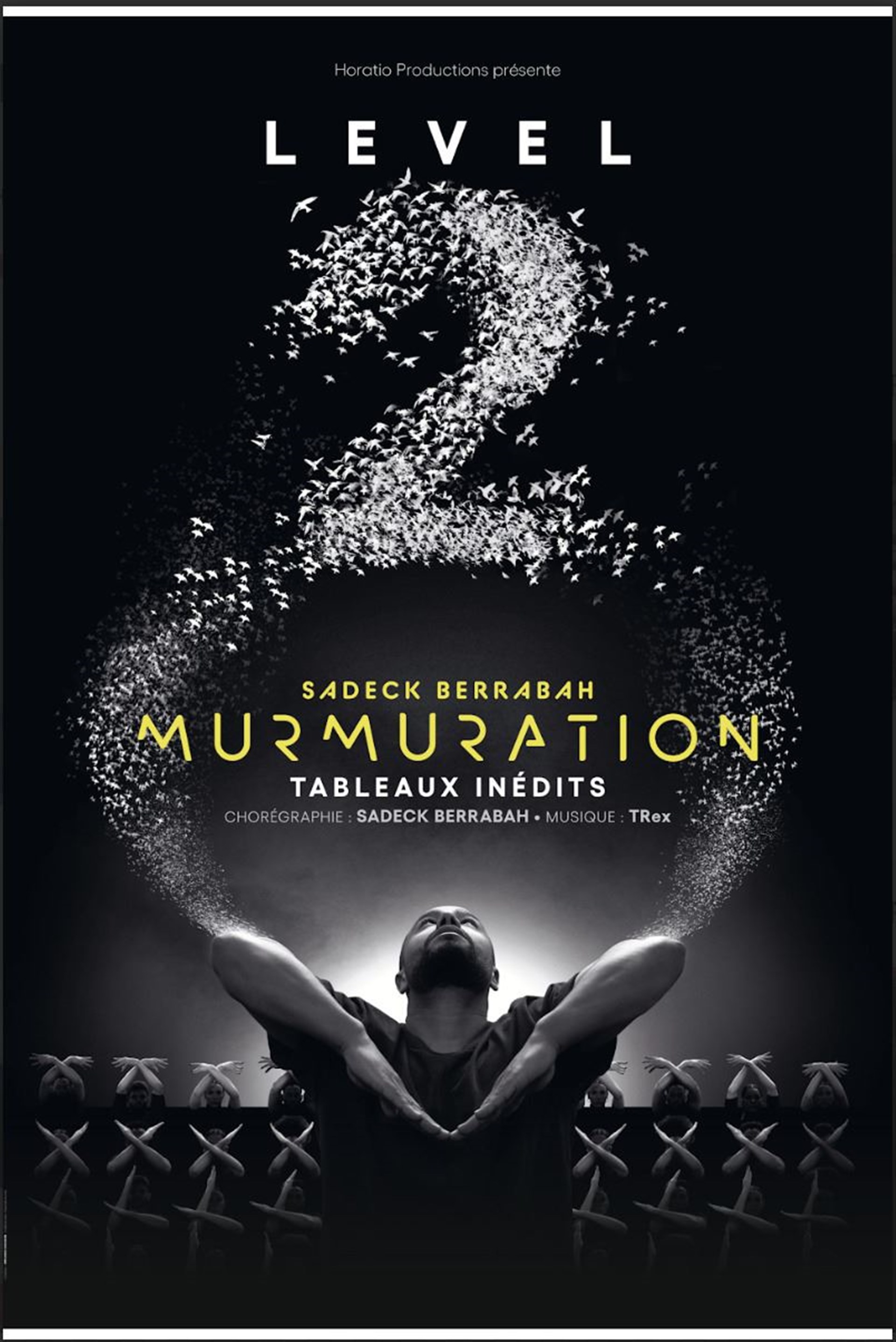 Murmuration Level 2