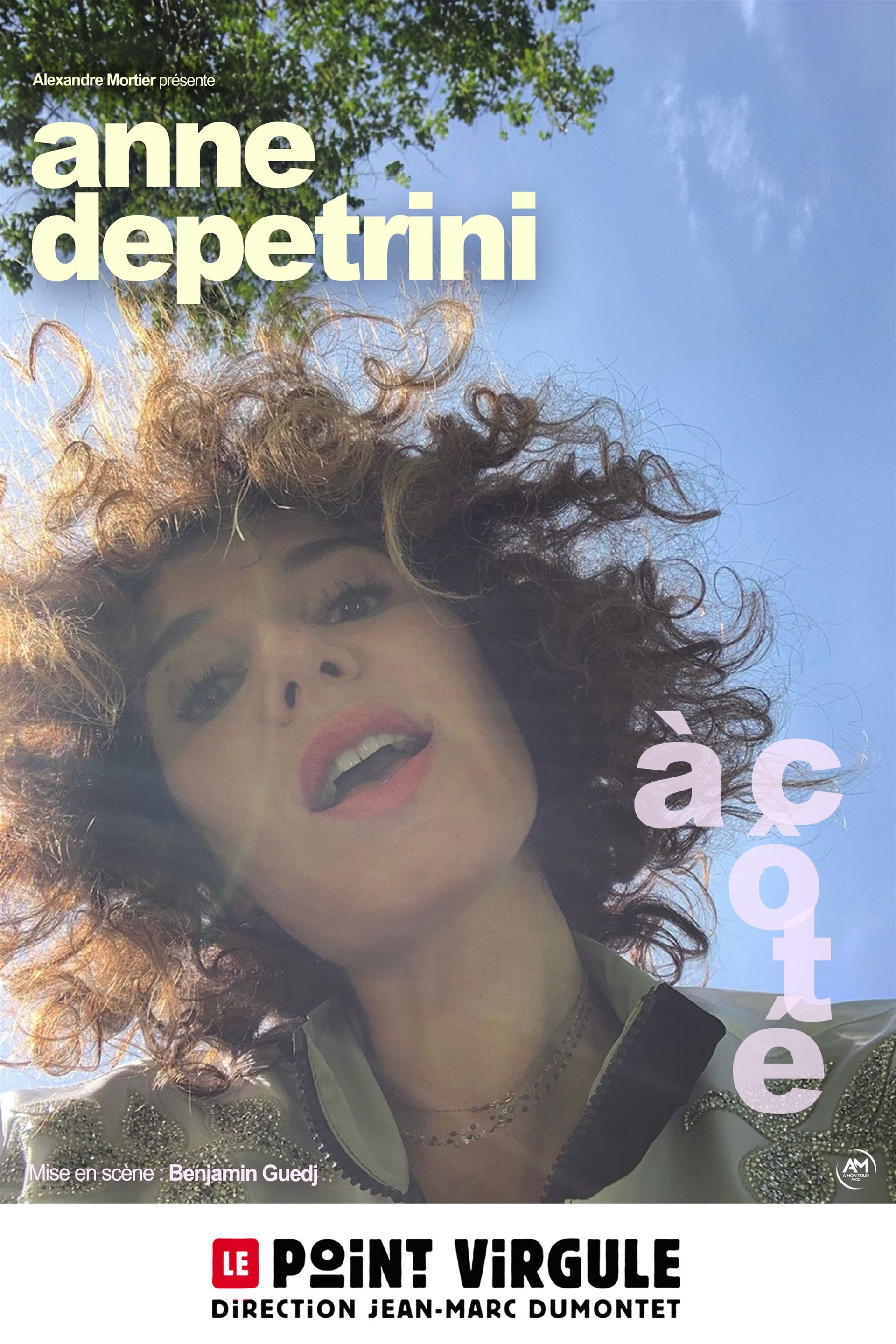 Anne Depetrini dans À côté