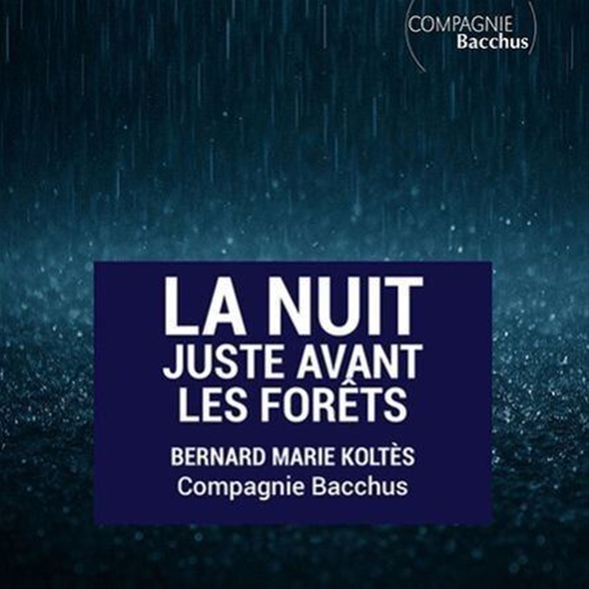 La nuit juste avant les forêts