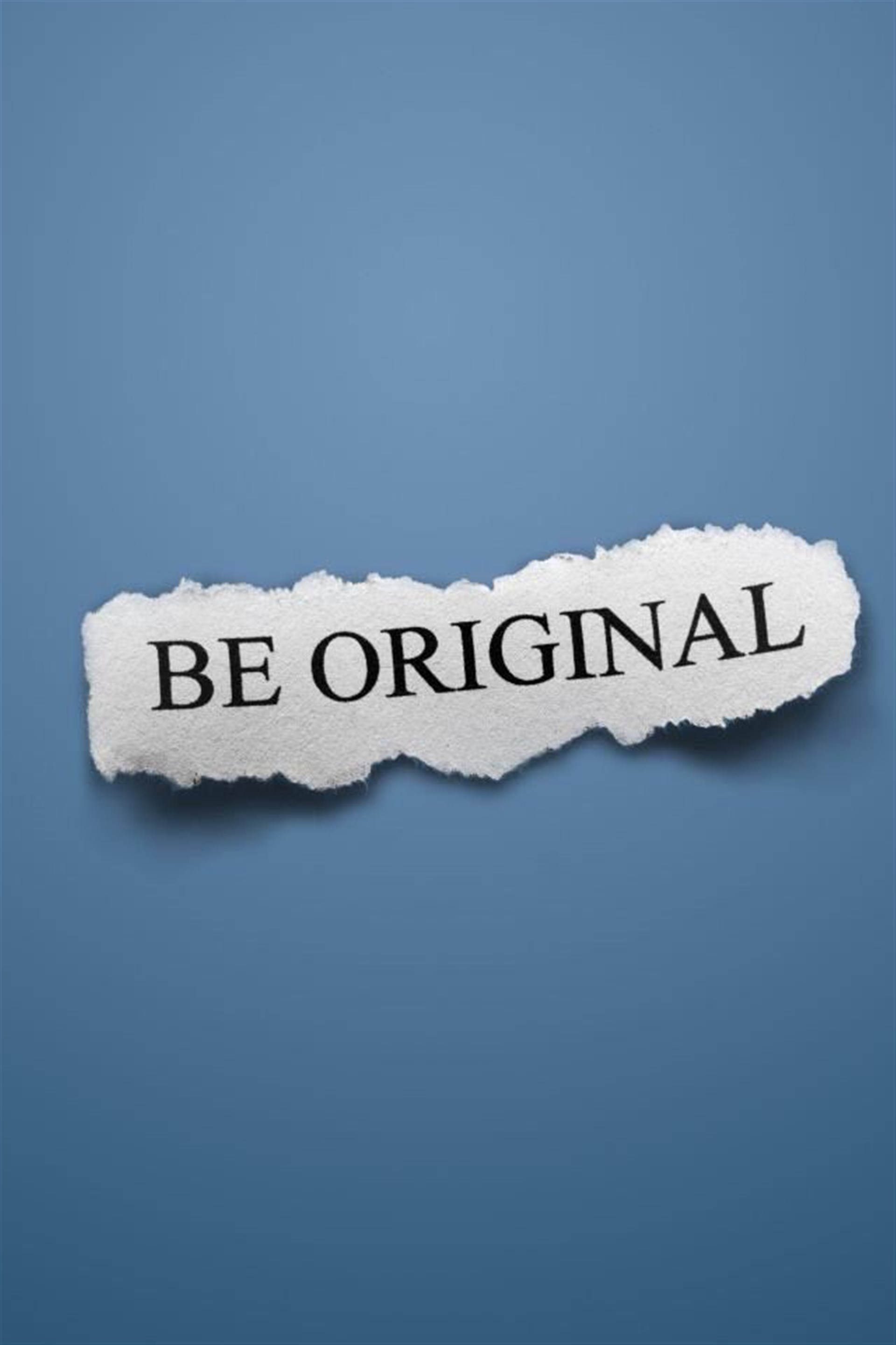 Un plateau d'artistes originaux et de toutes disciplines !