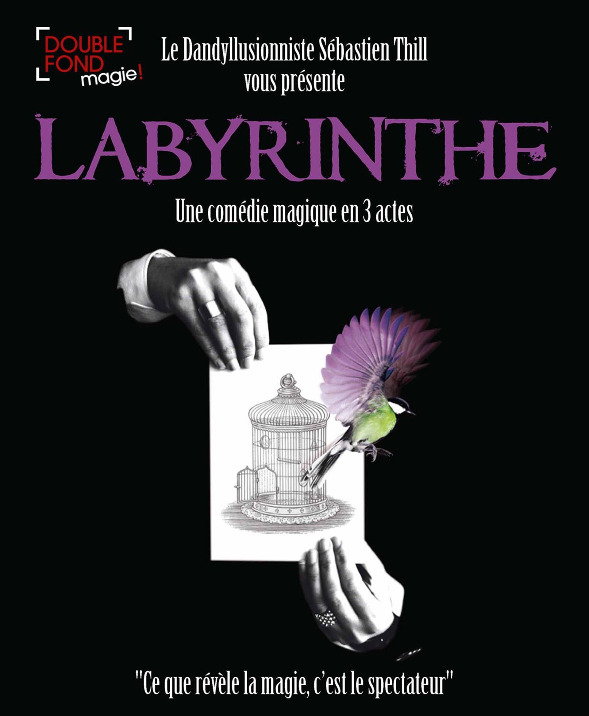 Sébastien Thill dans Labyrinthe