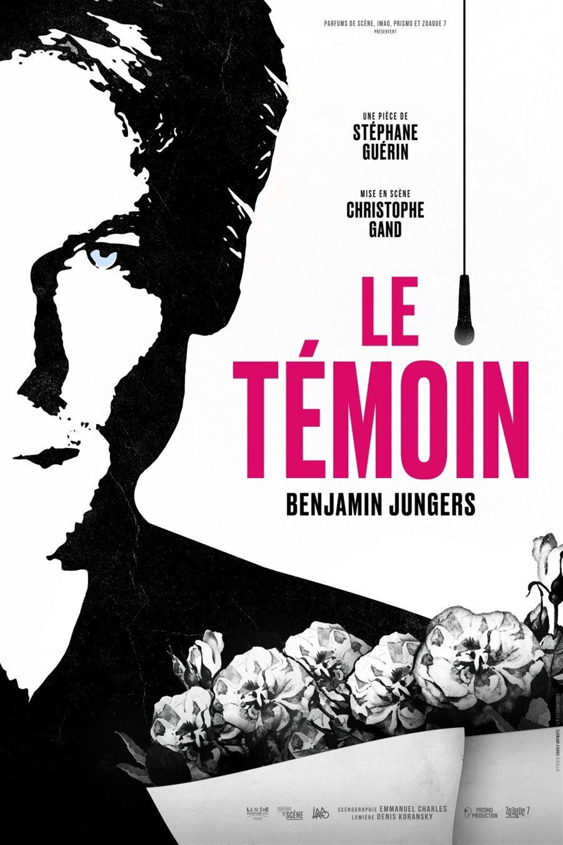 Le Témoin