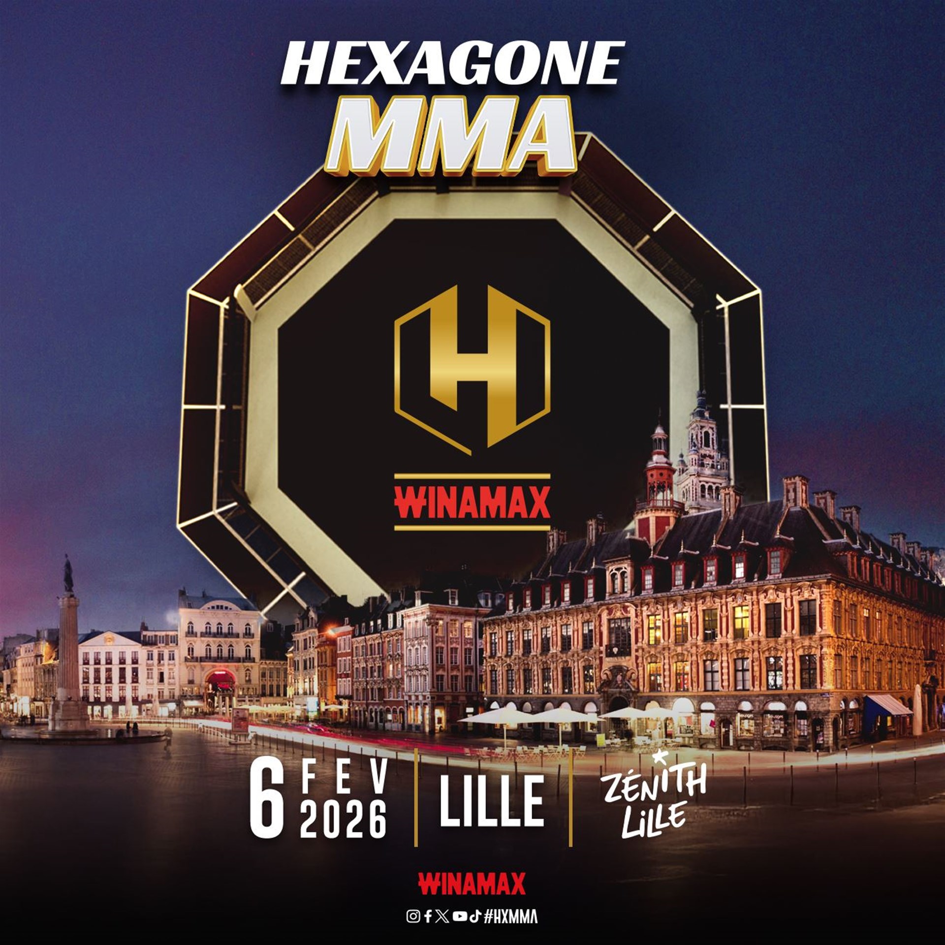 Hexagone MMA Lille