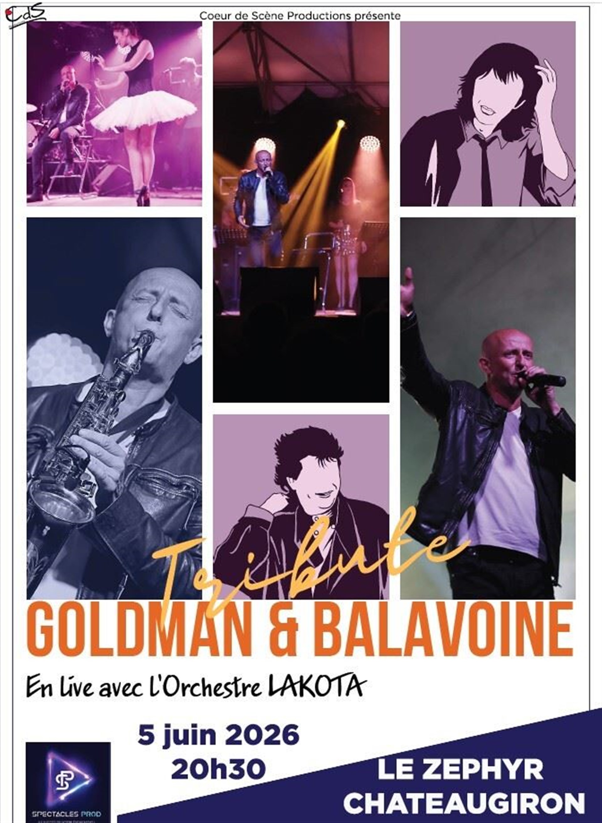 Tribute Goldman & Balavoine