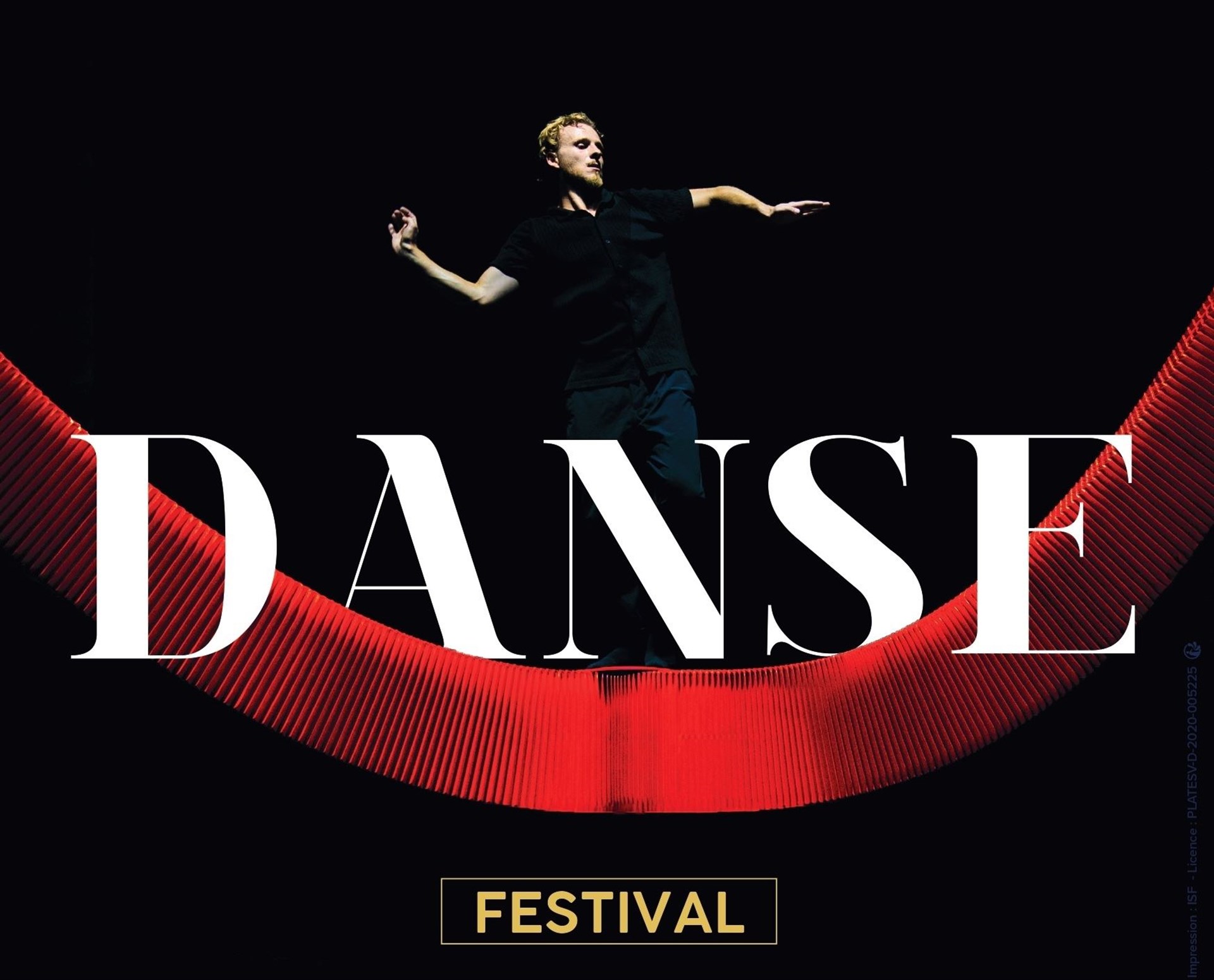 Spectacle au Château Royal de Blois