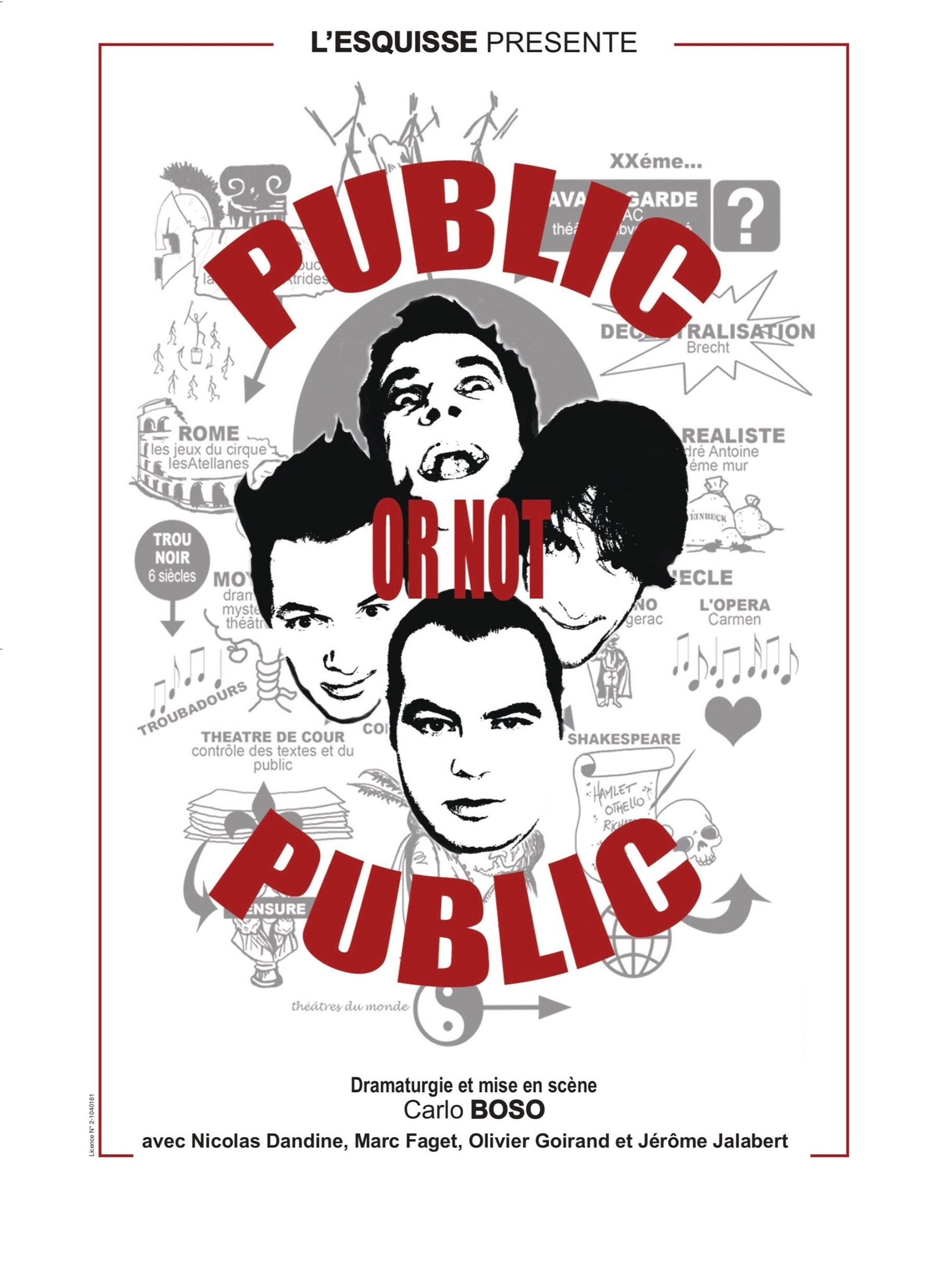 Public or not public