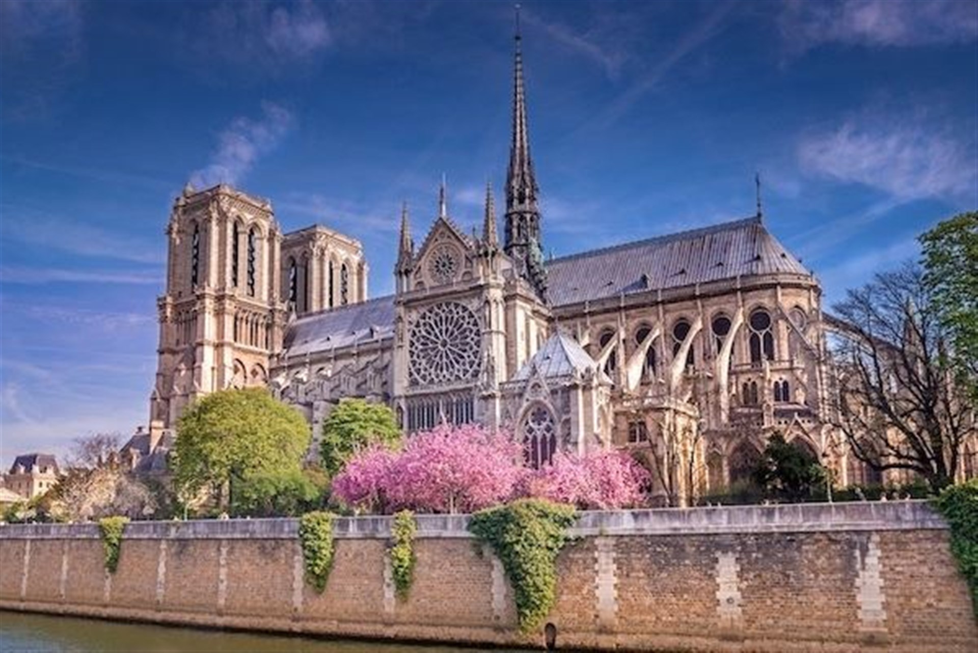 Visite guidée : Notre-Dame de Paris   par Calliopée - art-culture