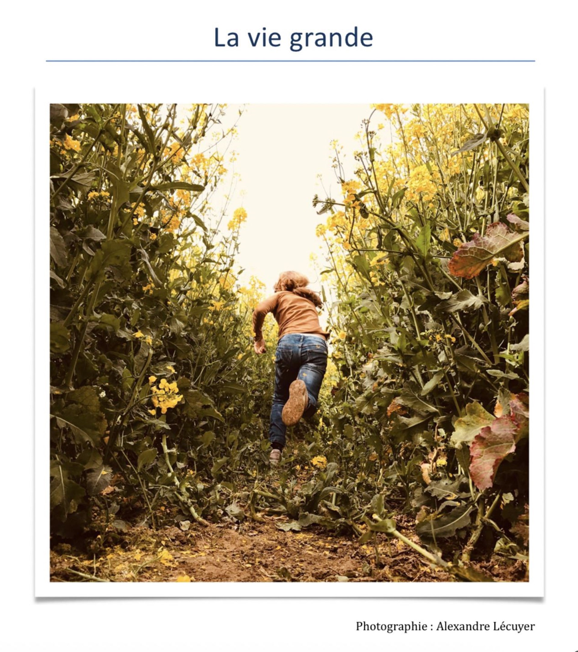 La vie grande