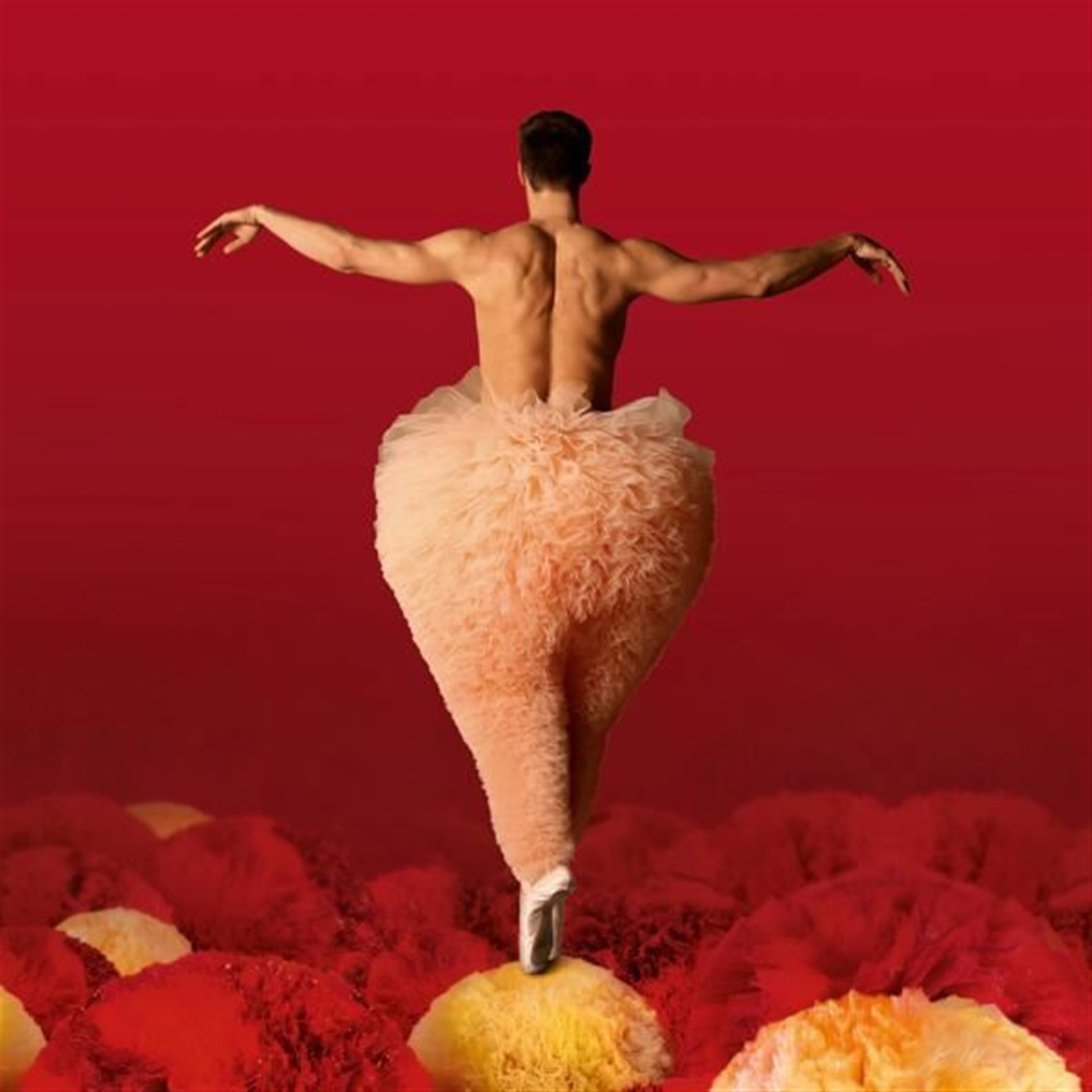 Tutu