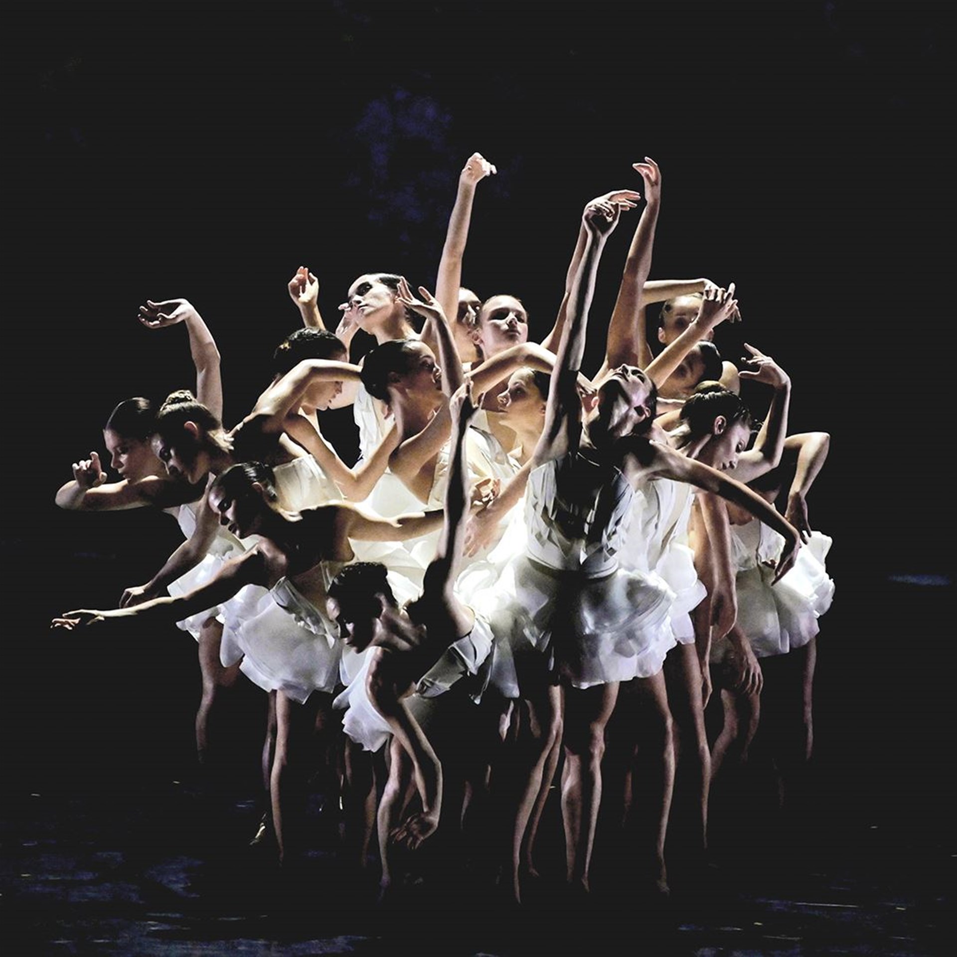 Ballet Preljocaj : Le Lac des Cygnes