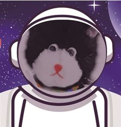 Event Patachon et les émotions Cover Image