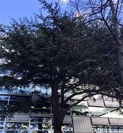 Affiche de Visite guidée: Que le temps passe à Montparnasse | par Elisabeth et Catherine