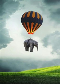 Affiche de Yloupi