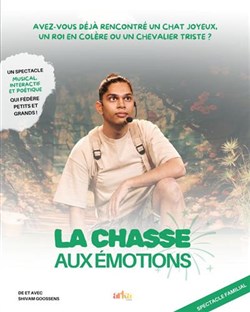 Affiche de La chasse aux émotions
