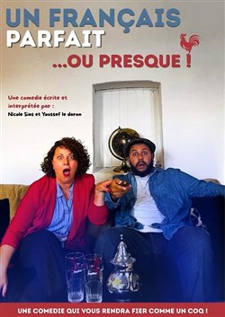 Affiche de Un Français parfait... ou presque !