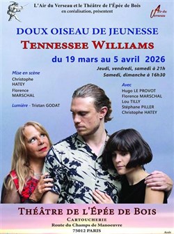 Affiche de Doux oiseau de jeunesse