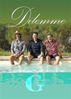 Affiche de Dilemme
