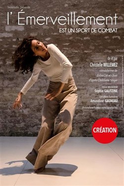 Affiche de L'Émerveillement est un sport de combat