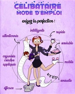 Affiche de Célibataire mode d'emploi