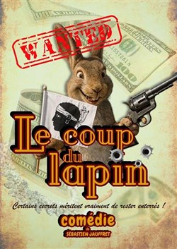 Affiche de Le coup du lapin