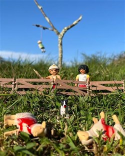 Affiche de Foutue Bergerie | avec Cristiana Reali