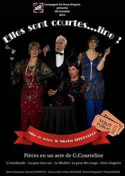 Affiche de Elles sont courtes...line !
