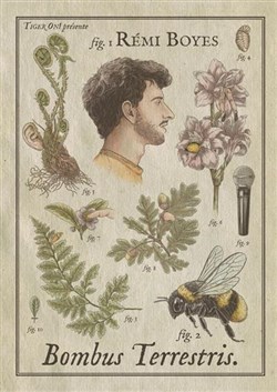 Affiche de Rémi Boyes dans Bombus Terrestris V2