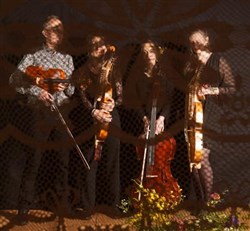 Affiche de Quarlätt