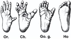 Affiche de Jonglages et Sciences : Le champs des possibles
