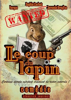 Affiche de Le coup du lapin