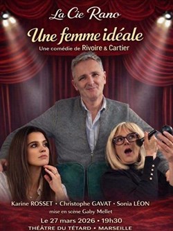 Affiche de Une femme idéale