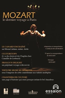 Affiche de Mozart, le dernier voyage à Paris