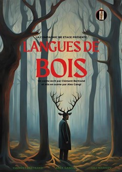 Affiche de Langues de bois
