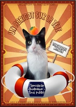 Affiche de Un abricot sur la tête