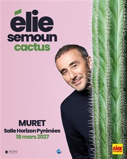 Affiche de Elie Semoun dans Cactus
