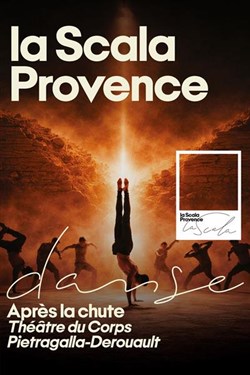 Affiche de Après la chute - Pietragalla-Derouault